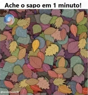 Teste Visual: Ache o sapo em 1 minuto