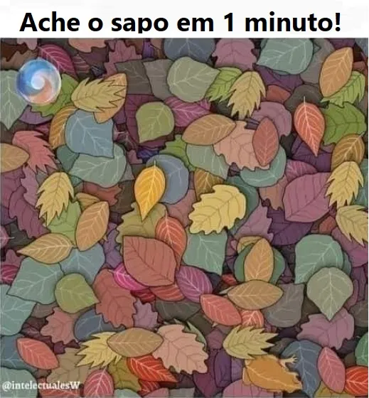Teste Visual: Ache o sapo em 1 minuto