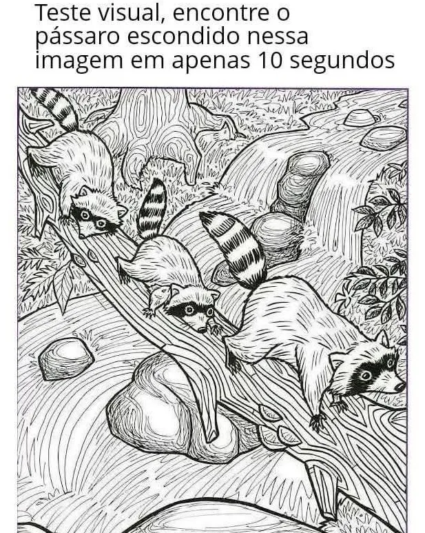 Teste Visual: Encontre o pássaro escondido na imagem em 10 segundos!