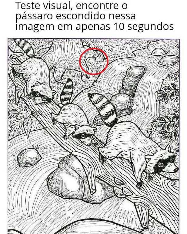Teste Visual: Encontre o pássaro escondido na imagem em 10 segundos!