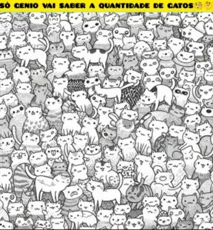 Teste Visual: Quantos gatos você consegue encontrar nesta imagem?