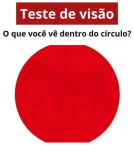 O que você vê dentro do círculo vermelho