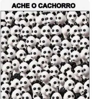 Ache o cachorro na imagem dos Pandas