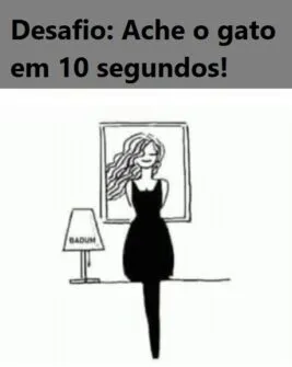 desafio ache o gato em 10 segundos