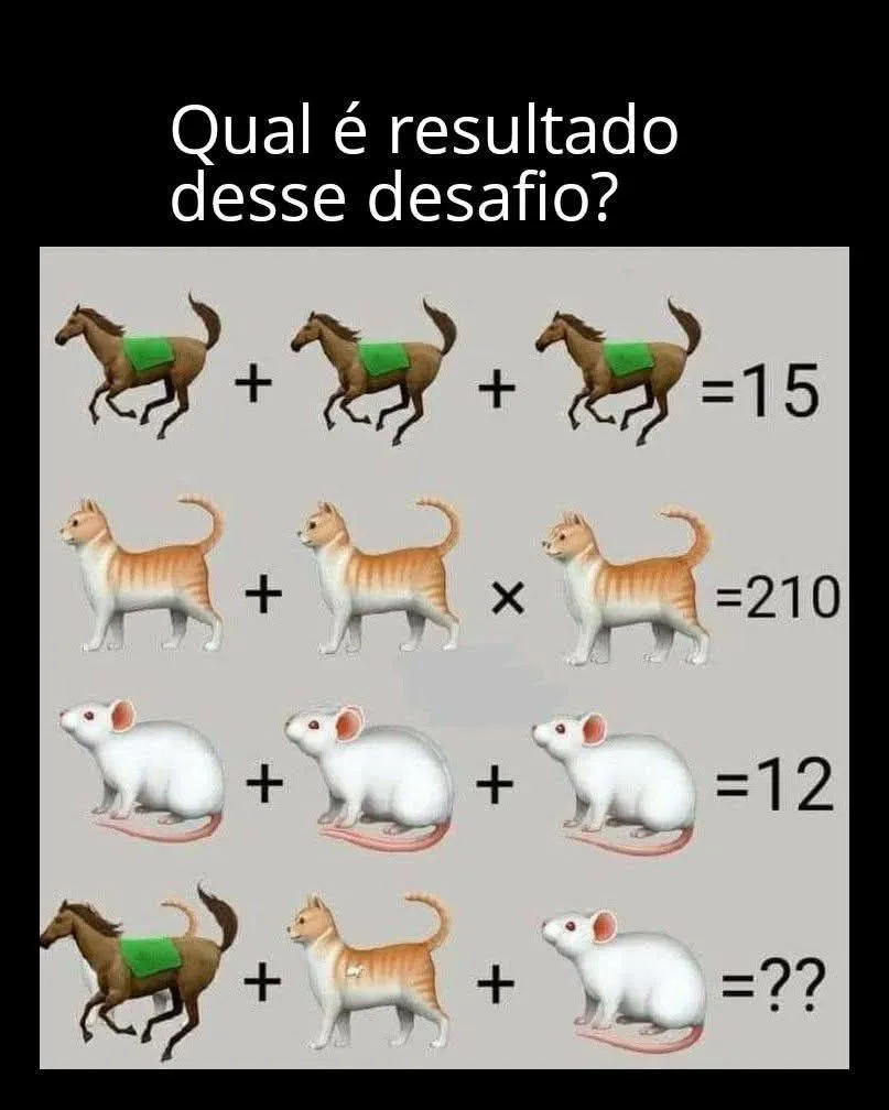 desafio cavalo rato e gato
