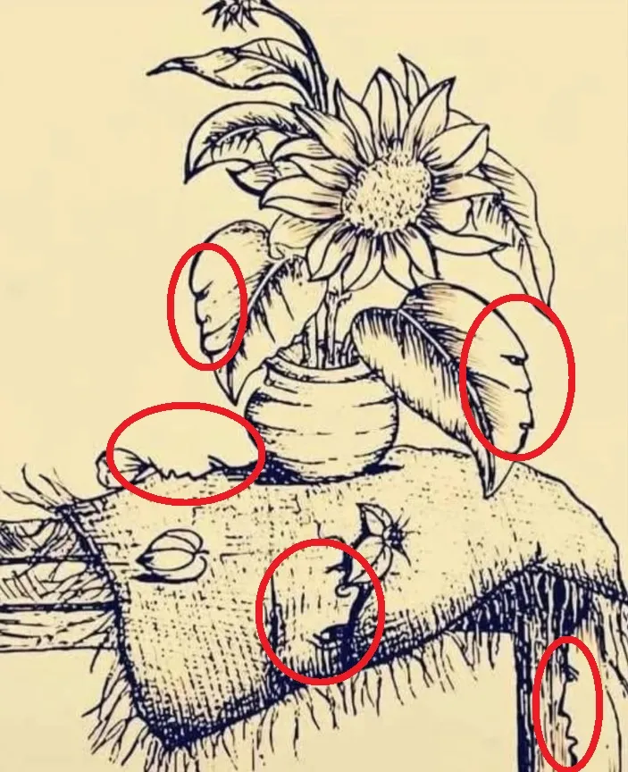 desafio visual ache os 5 rostos em um minuto resposta