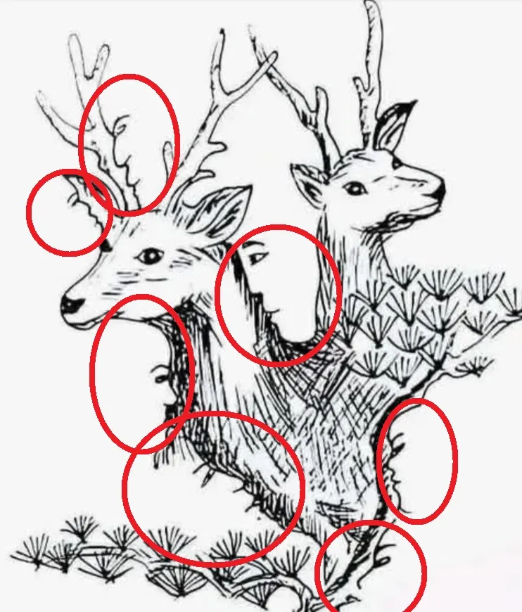desafio visual ache os 7 rostos em 15 segundos resposta