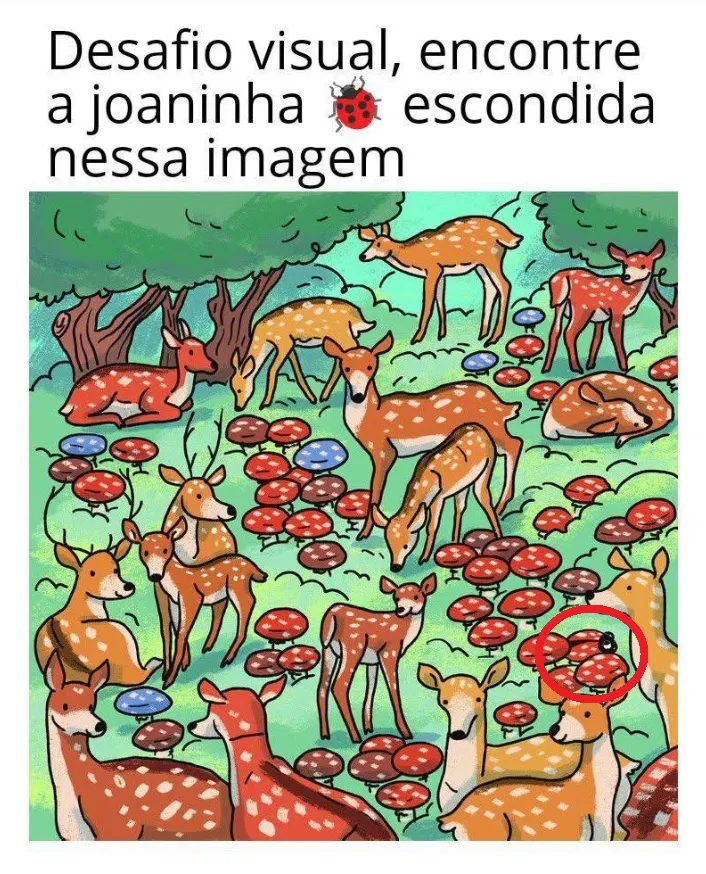 desafio visual encontre a joaninha escondida na imagem da floresta resposta