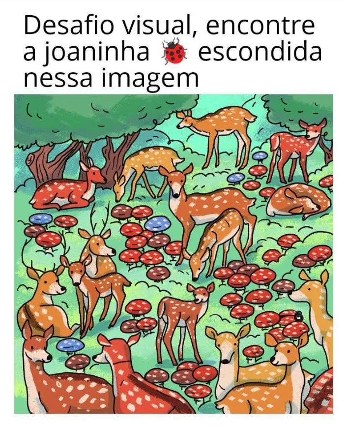 desafio visual encontre a joaninha escondida na imagem da floresta