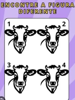 desafio visual encontre a imagem diferente entre as 4 vacas