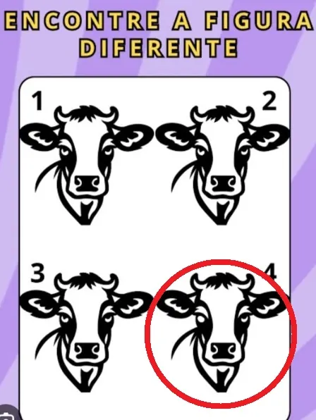 desafio visual encontre a imagem diferente entre as 4 vacas resposta