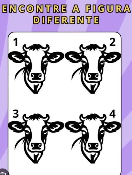 desafio visual encontre a imagem diferente entre as 4 vacas