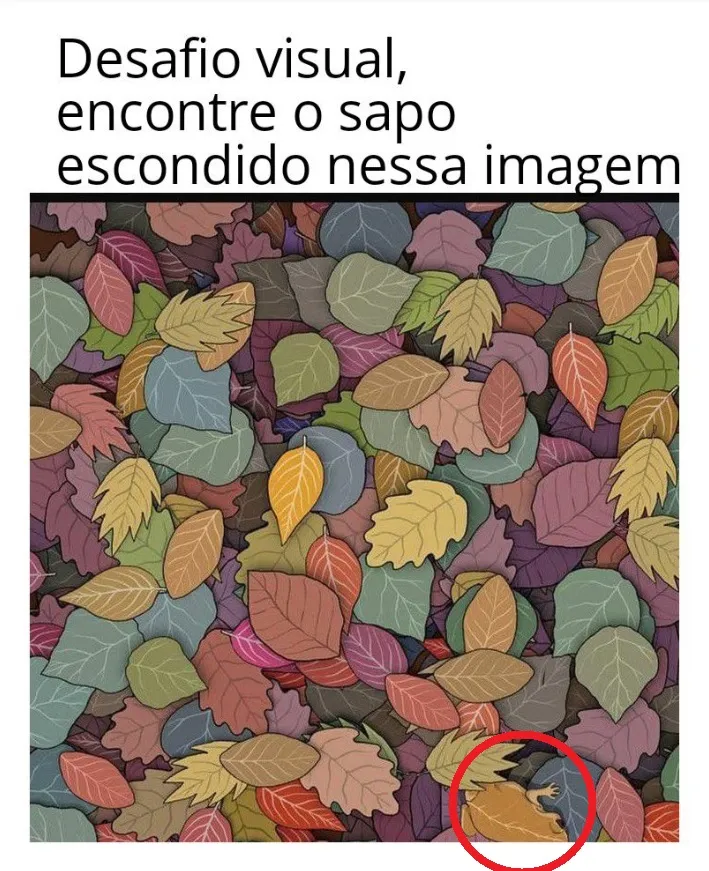 Desafio Visual: Encontre o Sapo Escondido Nessa Imagem