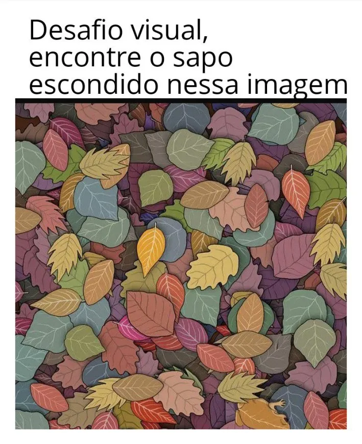 Desafio Visual: Encontre o Sapo Escondido Nessa Imagem