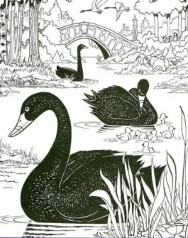 desafio visual encontre o peixe o sino e a bota ocultos