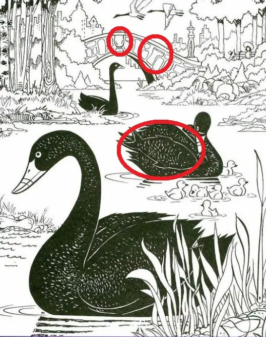 desafio visual encontre o peixe o sino e a bota ocultos resposta