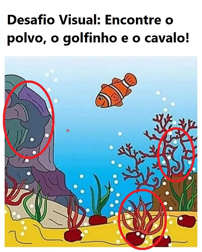 desafio visual encontre o polvo o golfinho e o cavalo resposta
