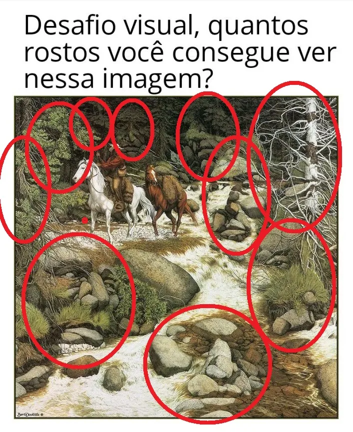 desafio visual quantos rostos voce consegue ver resposta