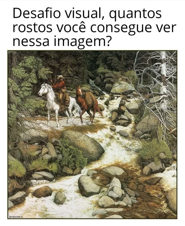 desafio visual quantos rostos voce consegue ver