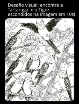desafio visual encontre a tartaruga e o tigre escondidos na imagem em 10s