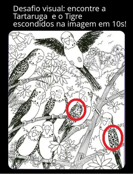 desafio visual encontre a tartaruga e o tigre escondidos na imagem em 10s resposta