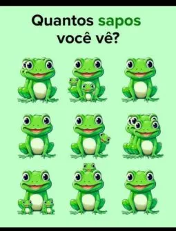quantos sapos você consegue ver na imagem
