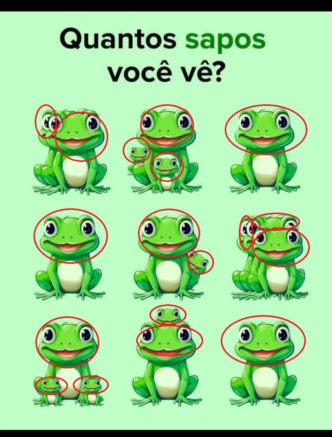 quantos sapos você consegue ver na imagem resposta