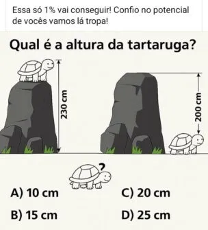 desafio de raciocinio qual e a altura da tartaruga