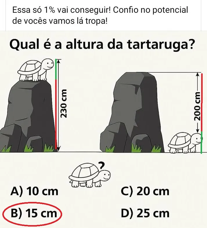 desafio de raciocinio qual e a altura da tartaruga respost