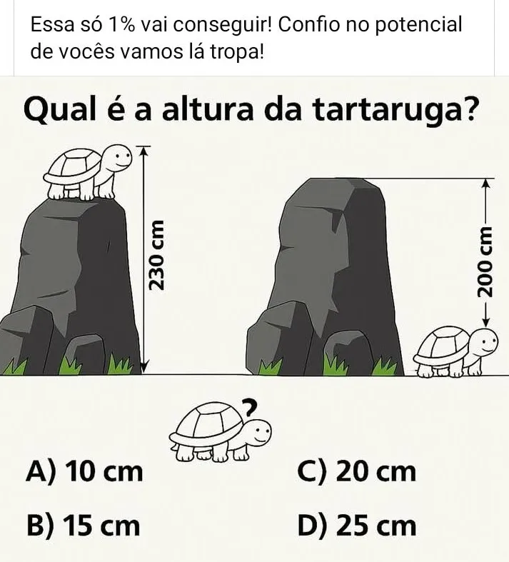 desafio de raciocinio qual e a altura da tartaruga