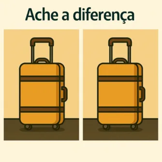 desafio visual ache a diferenca entre as duas maletas