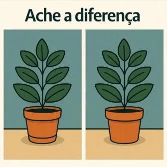 desafio visual ache a diferenca entre os vasos