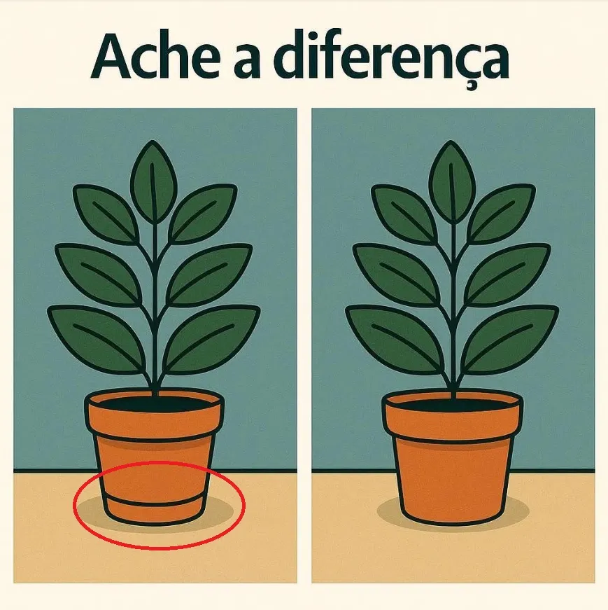 desafio visual ache a diferenca entre os vasos resposta