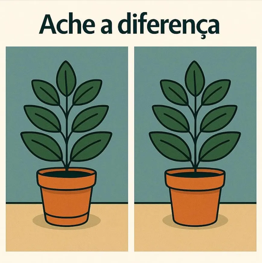 desafio visual ache a diferenca entre os vasos