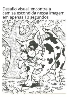 desafio visual encontre a camisa escondida nessa imagem em apenas 10 segundos