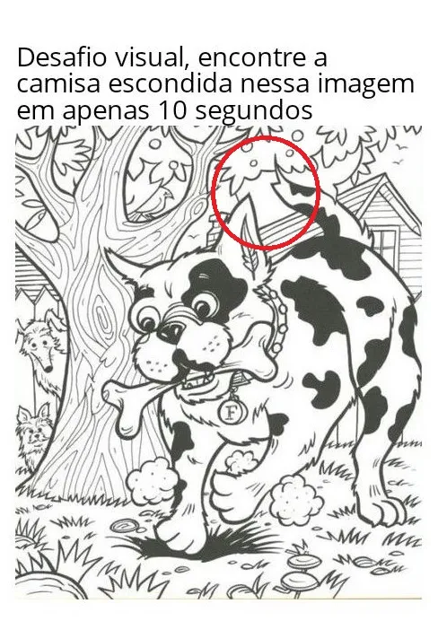desafio visual encontre a camisa escondida nessa imagem em apenas 10 segundos resposta