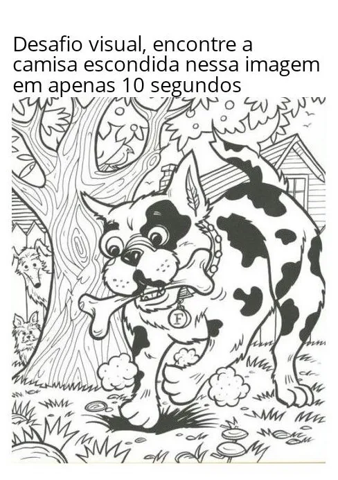 desafio visual encontre a camisa escondida nessa imagem em apenas 10 segundos