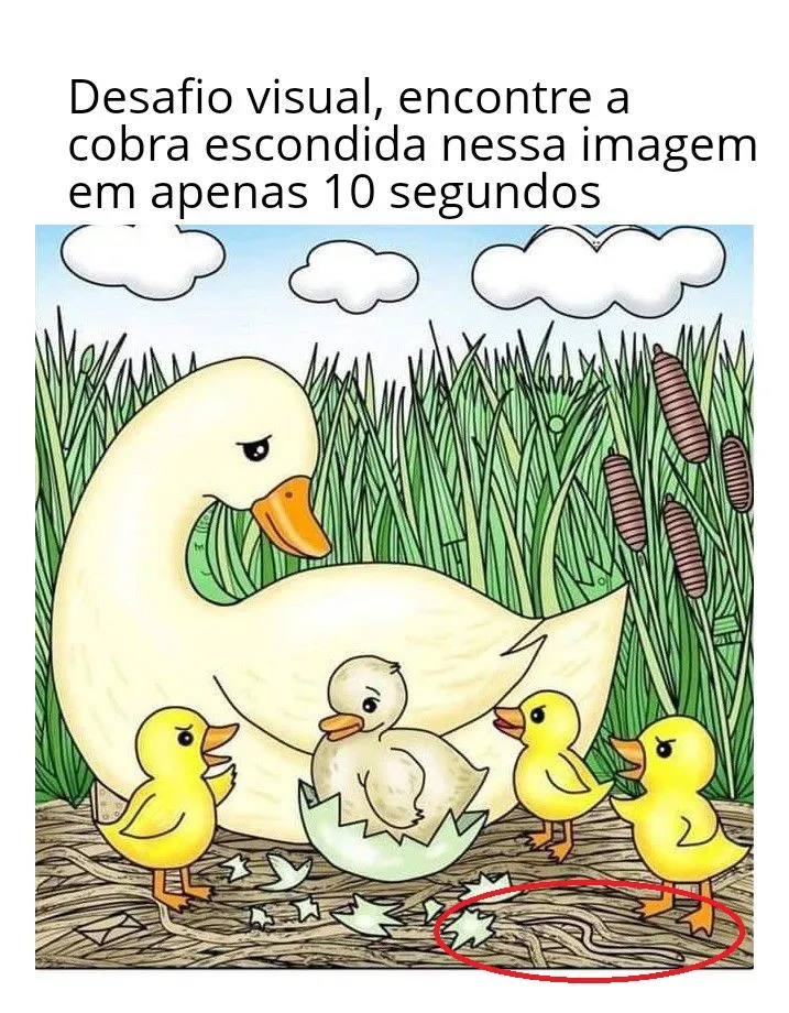 desafio visual encontre a cobra na imagem dos patos resposta