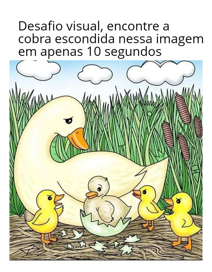 desafio visual encontre a cobra na imagem dos patos