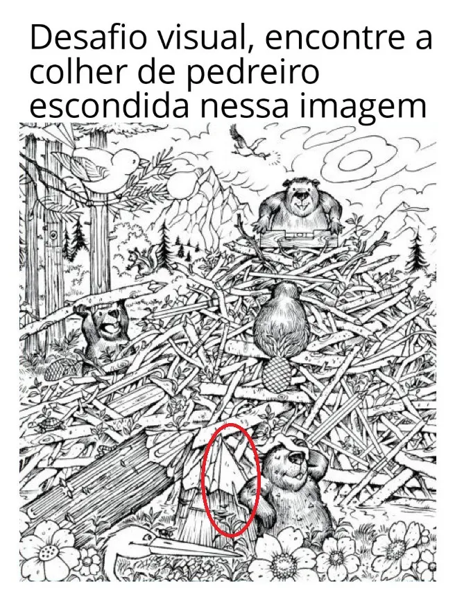 desafio visual encontre a colher de pedreiro escondida nessa imagem resposta