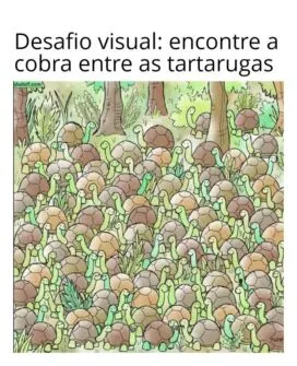 encontre a cobra entre as tartarugas
