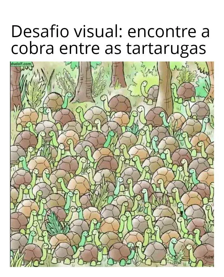 encontre a cobra entre as tartarugas