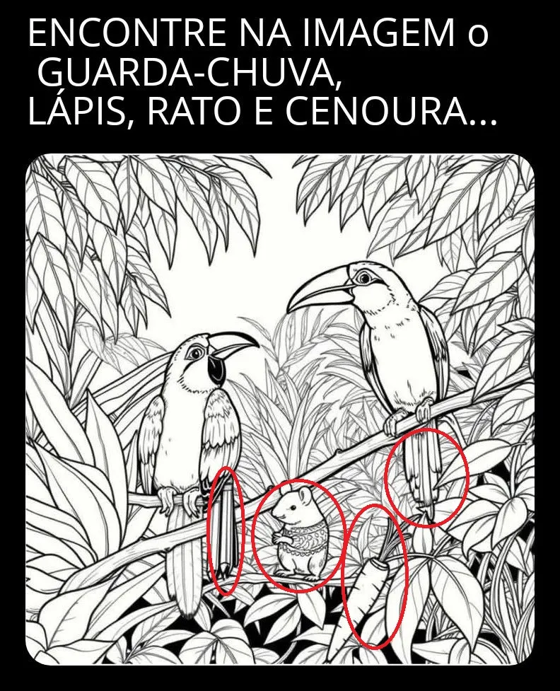 encontre o guarda chuva o lapis o rato e a cenoura resposta