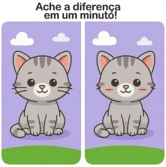 Ache a Diferença: O Gatinho Cinza Fofo