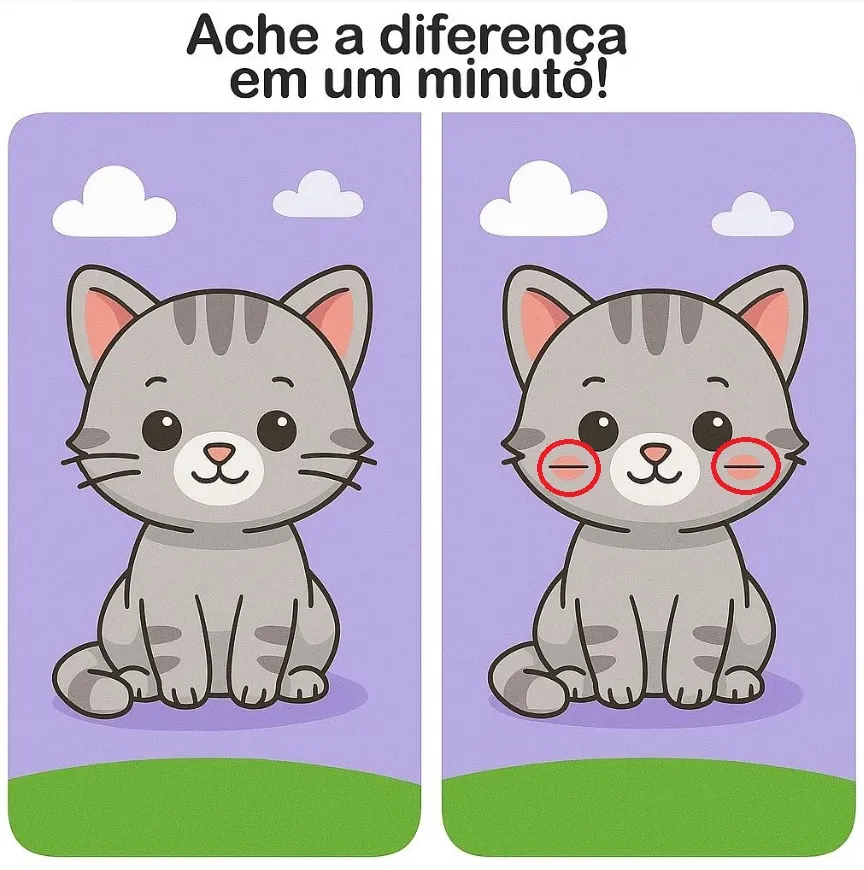 Ache a Diferença: O Gatinho Cinza Fofo