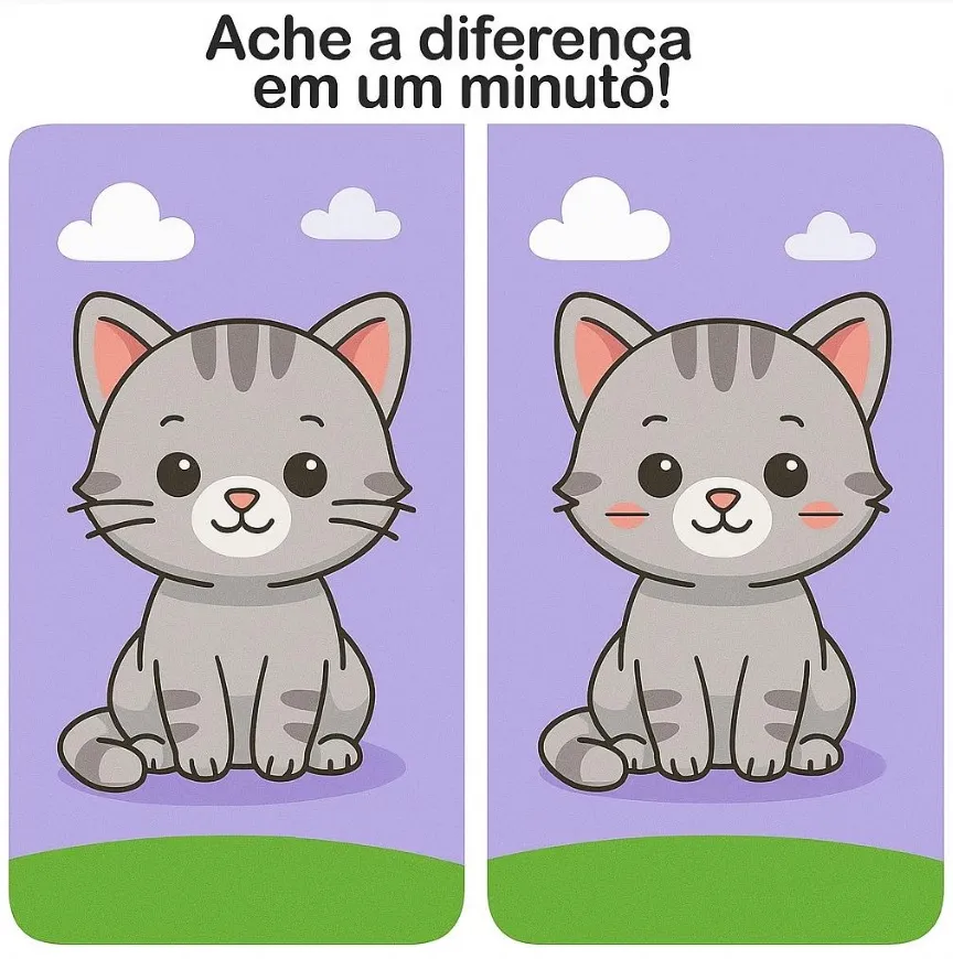 Ache a Diferença: O Gatinho Cinza Fofo