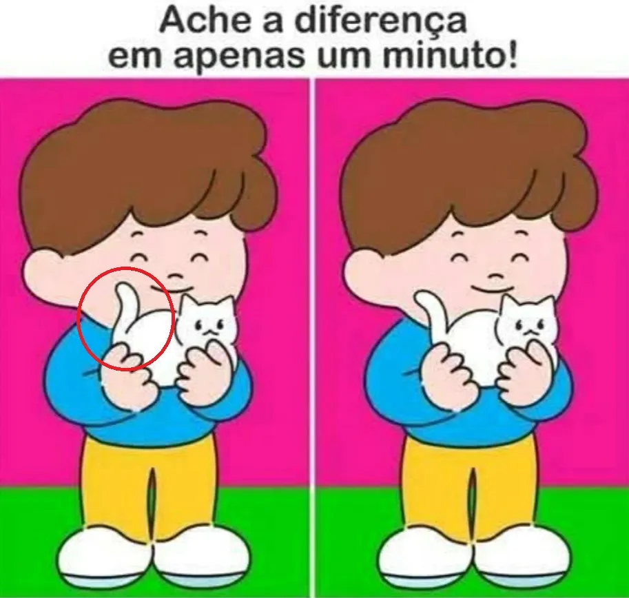 Ache a Diferença: O Menino e Seu Gato Branco!