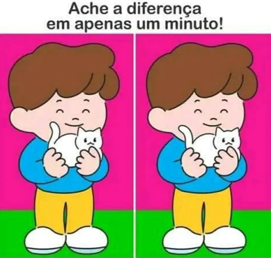 Ache a Diferença: O Menino e Seu Gato Branco!