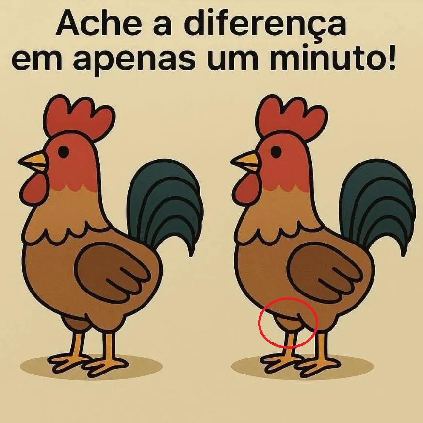 ache a diferença o galo charmoso resposta