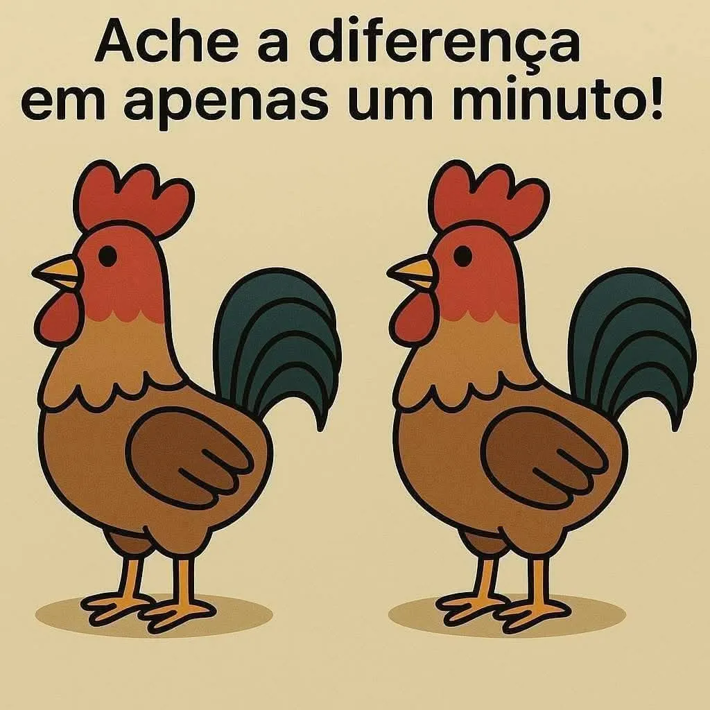ache a diferença o galo